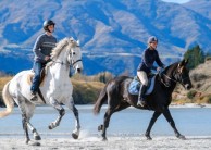 Horse Riding - Shotover River Trails