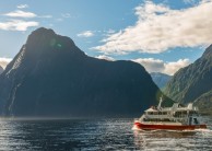 Milford Sound Nature Cruise - Southern Discoveries