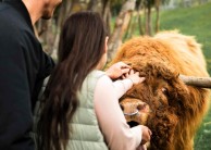 Spirit of Queenstown Cruise & Walter Peak Farm Tour