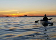 Kayaking - Rangitoto Island Sunset Tour