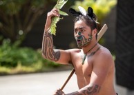 Maori Cultural Experience - Te Puia