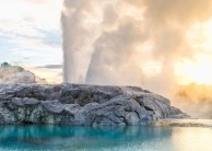 Geothermal & Dining Experience - Te Puia