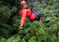 Ziplining - Ultimate Canopy Tour