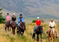 Horse Riding - Walter Peak