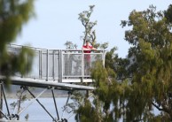 Tree Top Walk - West Coast