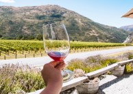 Wine Sampler Tour - Altitude Tours