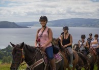 Horse Riding - Adventure Playground