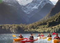 Kayaking - Milford Sound Cruise & Kayak