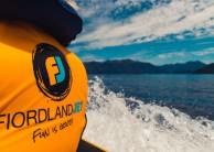 Jet boat - Fiordland Jet