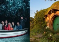 Hobbiton & Waitomo Day Tour