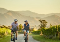 Bike Tours - Marlborough Wineries