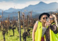 Blend Premium Winemaker Tour - Marlborough Tour Company