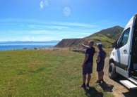 Seal Coast Safari