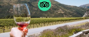 Wine Sampler Tour - Altitude Tours