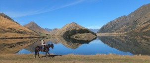 Horse Riding - Ben Lomond Trekking