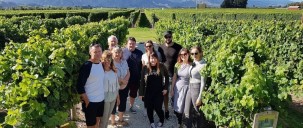 Half Day Morning Wine Tour - Marlborough Wine Tours