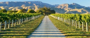 Full Day Wine Tour - Marlborough Wine Tours