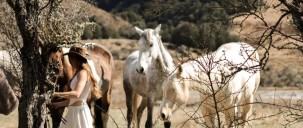 Horse Riding - Moke Valley Horse Trek