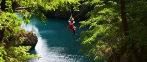 Ziplining - Paradise Ziplines