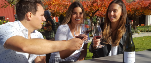 Wine Tours - Queenstown Wine Trail