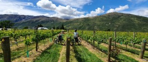 Guided E-Bike Tours - Ride to the Vines