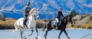 Horse Riding - Shotover River Trails