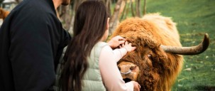 Spirit of Queenstown Cruise & Walter Peak Farm Tour