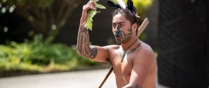 Maori Cultural Experience - Te Puia