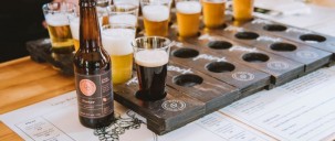 Twilight Wine and Craft Beer Tour - Altitude Tours