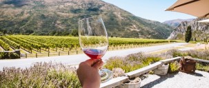 Wine Sampler Tour - Altitude Tours