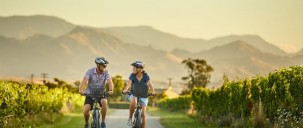 Bike Tours - Marlborough Wineries