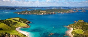 Waiheke Explorer Tour