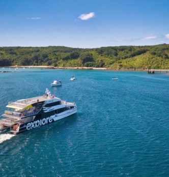 Auckland Activities Under $100