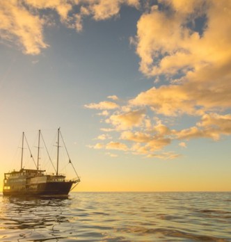 Te Anau Overnight Tours