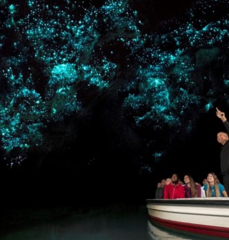 Boat Tours in Waitomo