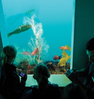 Family Friendly Activities in Milford Sound