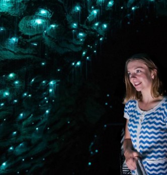 Auckland Glow Worm Tours