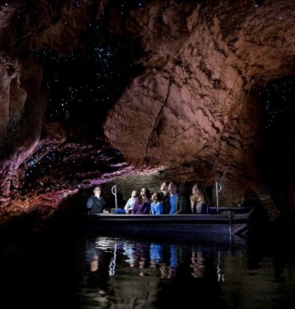 Doubtful Sound Glow Worm Tours