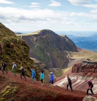 Guided Walks in Rotorua