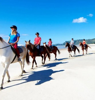Horse Riding in Auckland