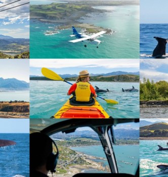 Kaikoura Adventure Activity Combos