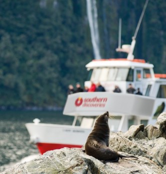 Milford Sound Half Day Tours