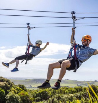 Most Popular Activities in Auckland