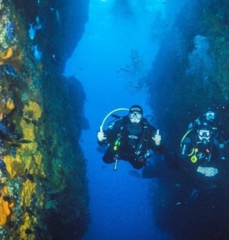 Scuba Diving Tours | Poor Knights Islands - Everything New Zealand