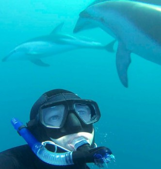 Snorkelling Tours in Kaikoura