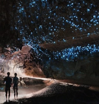 Waitomo Tours Under $100