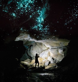 Waitomo Half Day Tours