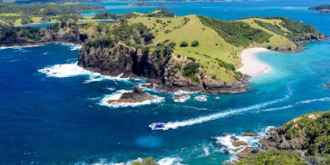 Bay of Islands Day Tour & Hole in the Rock - Everything New Zealand