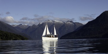 Lake Cruise & Walk - Fiordland Historic Cruises - Everything New Zealand