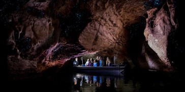 Te Anau Glow Worm Caves - Everything New Zealand